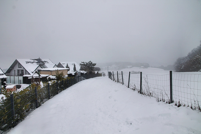 Schneebedecker Weg neben der Siedlung (Breckerfeld) / 8.04.2023