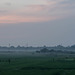 Morning mist over paddy fields
