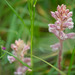 DSCF7863