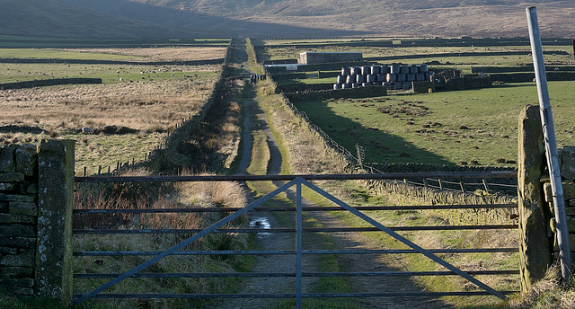 Issues Road fences