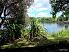 Lake Karapiro