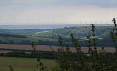 Offshore wind farm