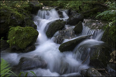 Els matins plens d'aigua