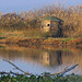 HBM  Cormorant (Phalacrocorax) Bench plus 5 PIPs