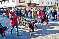 Pferdemarkt in Gaildorf 2017