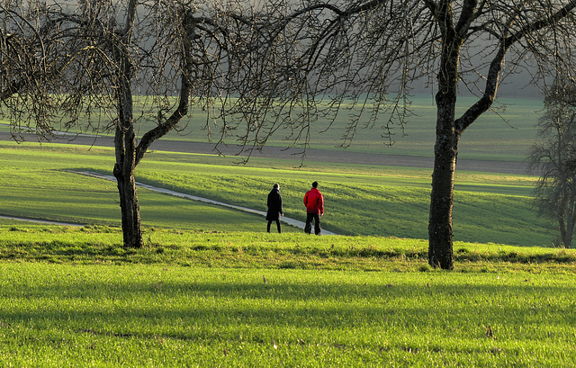 Spaziergang / Going for a Walk