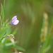 DSCF7864