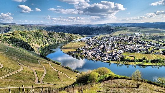 Moselschleife bei Piesport