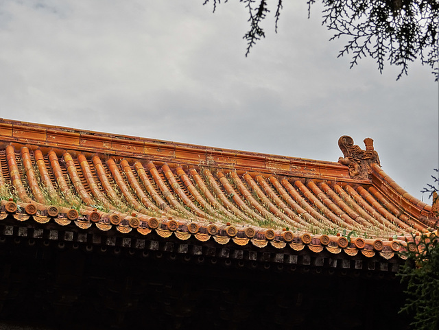 Forbidden City_6