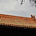 Forbidden City_6