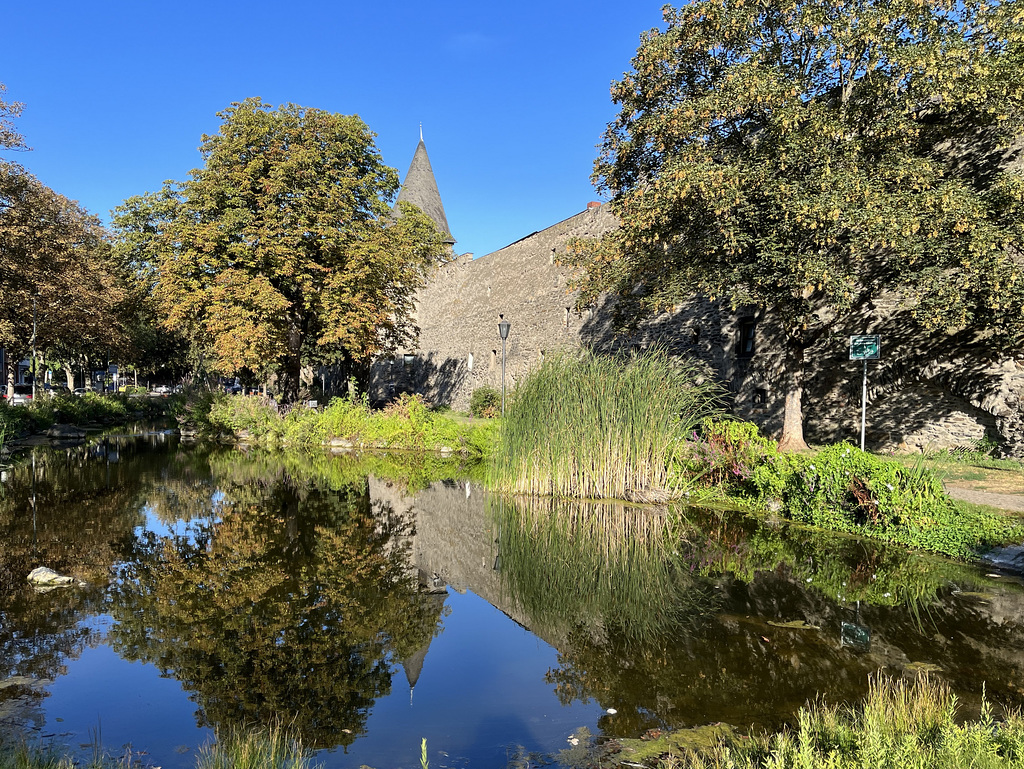 DE - Andernach - Spiegelung