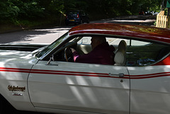 cacmspsjwjun162024 (1205)