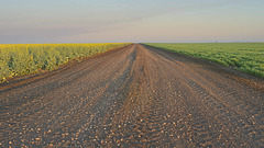 follow the yellow gravel road