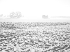 fog over the snow