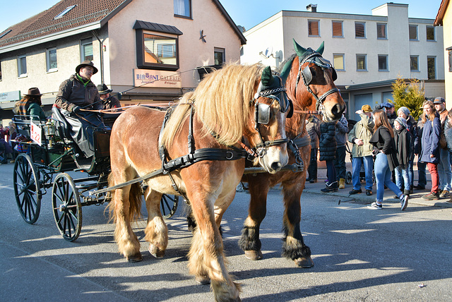 Pferdemarkt in Gaildorf 2017