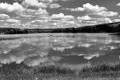 Rund um den Wiesensee