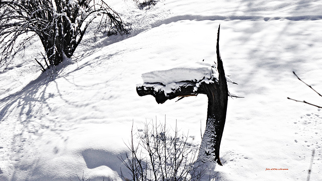 Märchenhafte Gestalten im Schnee