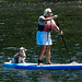 20190610 4963CPw [R~GB] Hund, Wassersport, Cwm yr Eglwys, Dinas, Wales