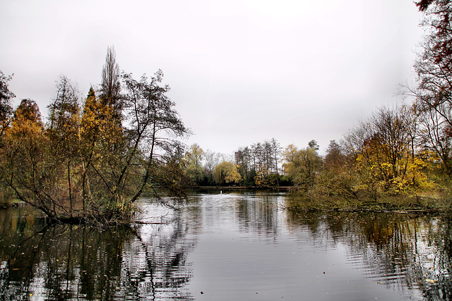 Weiher im Volkspark (Oberhausen-Sterkrade) / 20.11.2021