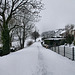 Schneebedecker Weg neben den Häusern (Breckerfeld) / 8.04.2023