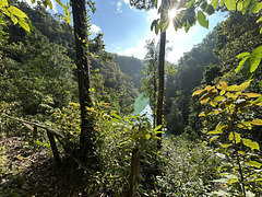 A walk in the rain forest.