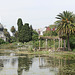 Wetlands