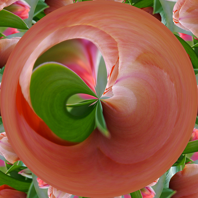 Tulip Orb