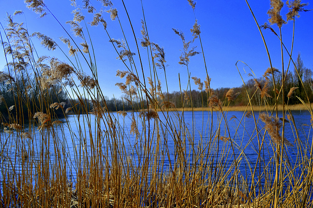 Little water of my Region