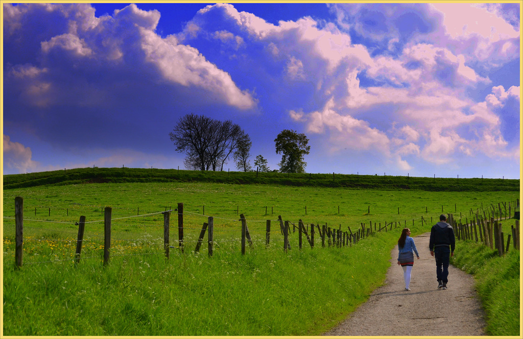 a Walk between  Fences-HFF for everyone 3-7-2020-Happy fency friday