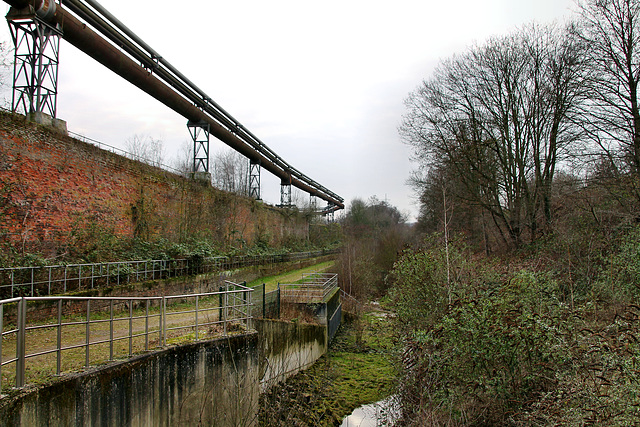 Alte Emscher (Duisburg-Beeck) / 8.02.2020