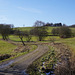 Feldweg nach dem Schnee