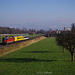 BÖ0028480