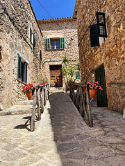 Valldemossa street 2