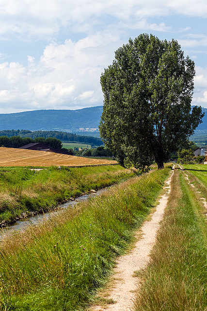 130817 Eclepens-Cossonay D