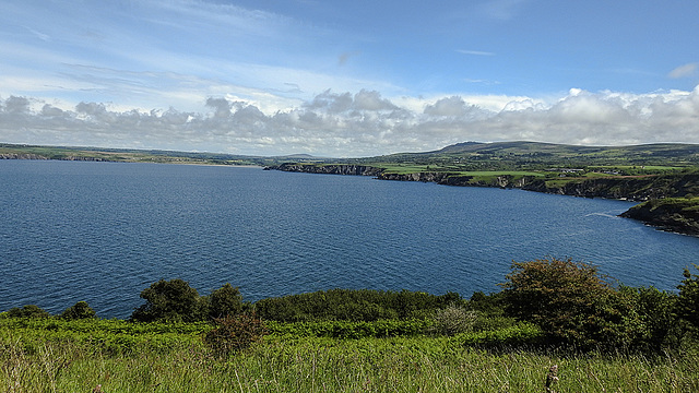 20190610 4966CPw [R~GB] Wanderung auf dem Pembrokeshire-Coast-Path, Cwm yr Eglwys, Dinas, Wales