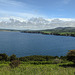 20190610 4966CPw [R~GB] Wanderung auf dem Pembrokeshire-Coast-Path, Cwm yr Eglwys, Dinas, Wales