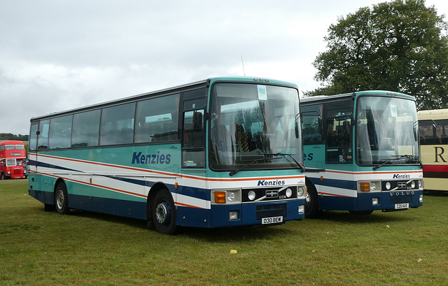 Kenzie's D30 BEW and C25 CAV at Showbus - 29 Sep 2019 (P1040457)