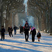 Une allée du Jardin des Plantes