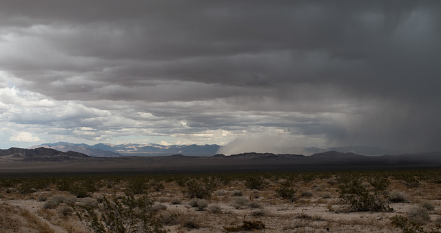 Amboy desert ‘steam rain’? (#1016)