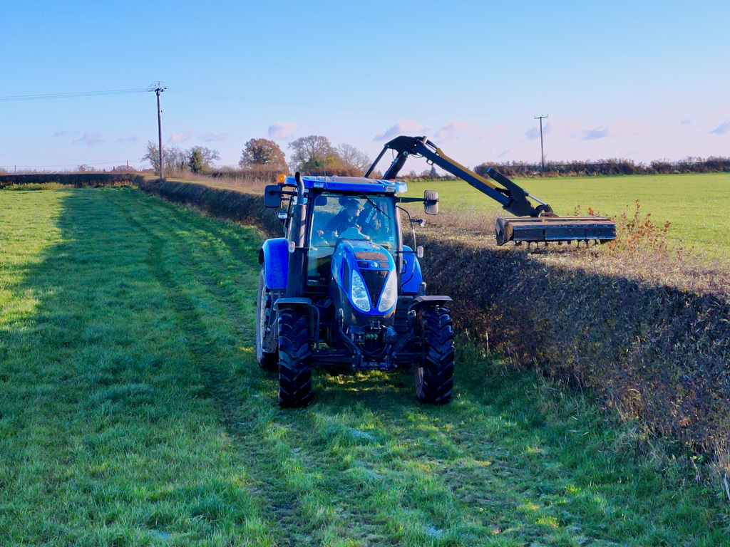 Hedge cutting