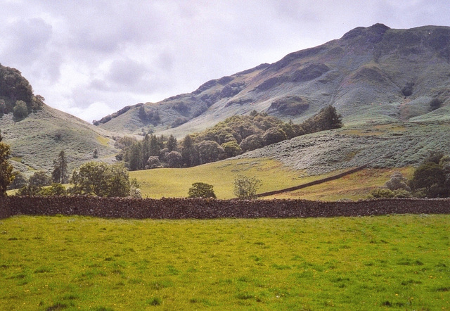 Mountain Greens - Lake District