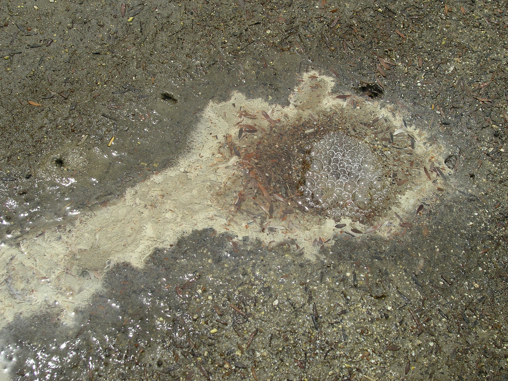 Wai-O-Tapu - boiling and bubbling water in the puddle