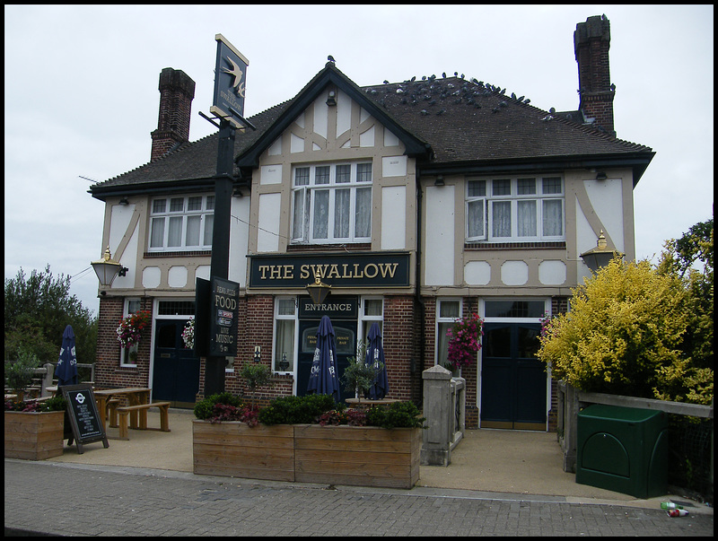 The Swallow at Hillingdon