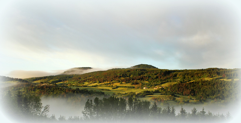 Matin brumeux