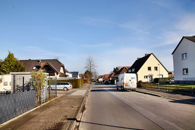 Am Keilbrink (Unna-Lünern) / 12.02.2022