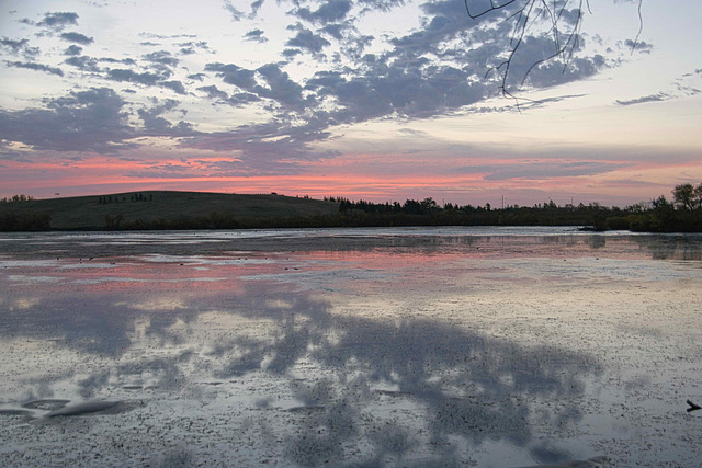 sunrise over Douglas Park