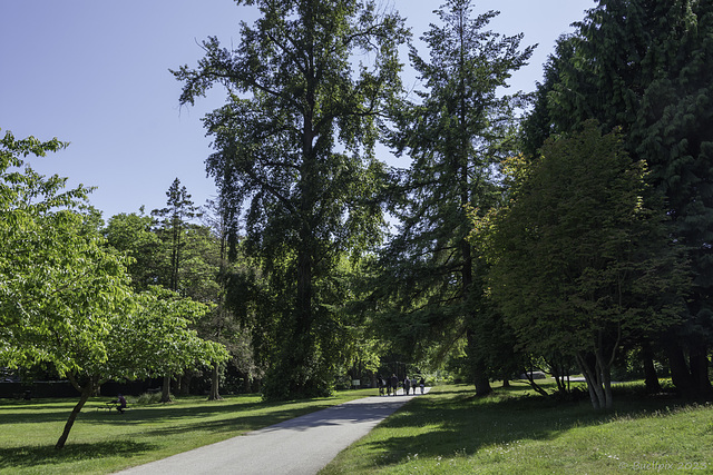 Stanley Park (© Buelipix)