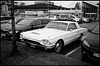 White Ford Thunderbird