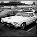 White Ford Thunderbird