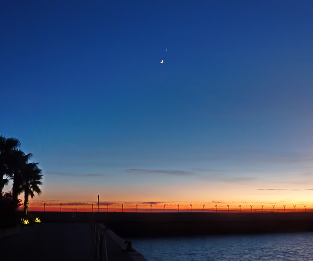 La luna incontra Venere - Pip